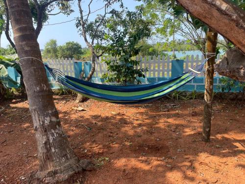 a blue hammock hanging between two trees at Blue Lagoon Homestay in Mangalore