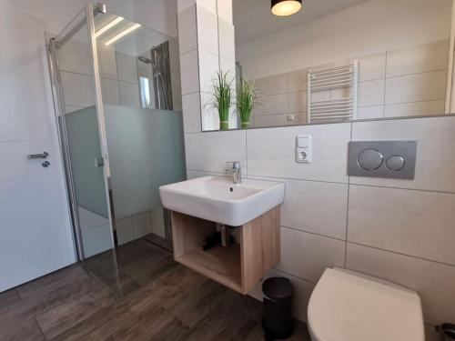 Holiday apartment Lotte Dree في Klein Kirr: حمام مع حوض ودش ومرحاض