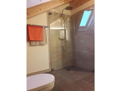 uma casa de banho com um chuveiro e um WC. em Richter 2 Modern retreat em Wackersberg