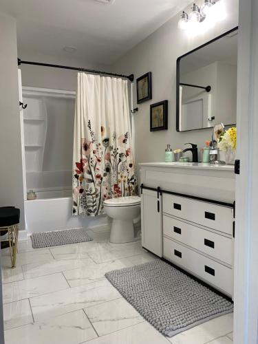 a bathroom with a sink and a toilet and a shower at Jacqueline Estates B-n-B in Quinby