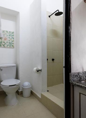 a bathroom with a shower with a toilet and a sink at CATEDRAL CENTRO DE MERIDA ESTUDIO2 in Mérida
