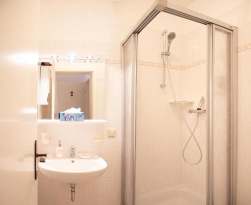 y baño con ducha y lavamanos. en Hotel zur Post, en Wernigerode
