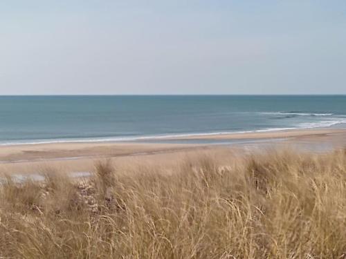une plage avec de hautes herbes et l'océan en arrière-plan dans l'établissement MONTALIVET STUDIO MEZZANINE, à Vendays-Montalivet