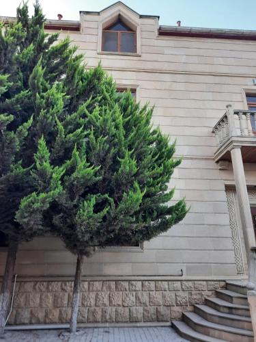 a pine tree in front of a building at Badamdar in Baku