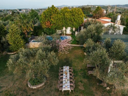 an overhead view of a garden with a table and trees at Bir Dem Urla in Urla
