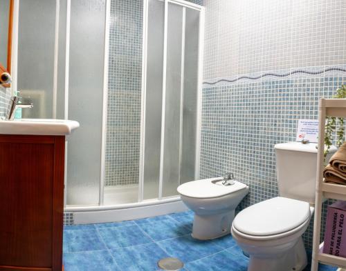 a bathroom with a toilet and a shower at Casa El Limonero in Níjar