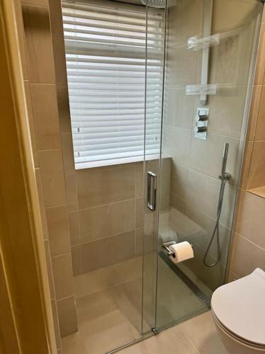 a bathroom with a glass shower with a toilet at Weybridge garden cottage in Weybridge