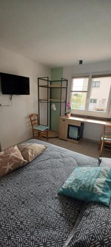 ein Schlafzimmer mit einem Bett und einem Flachbildfernseher in der Unterkunft Chambre climatisée indépendante 300m mer in Six-Fours-les-Plages
