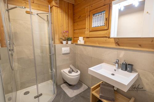 a bathroom with a shower and a toilet and a sink at Schlossblick in Vols am Schlern