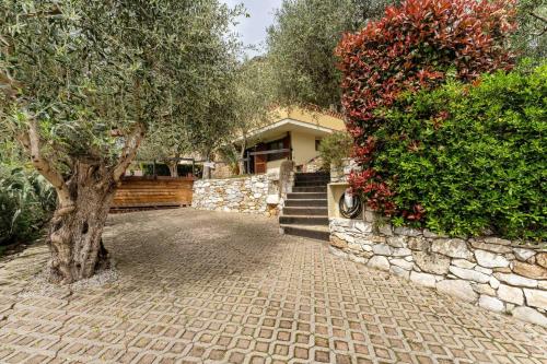 una casa con un árbol y una pared de piedra en Villa Villacolle en Massarosa