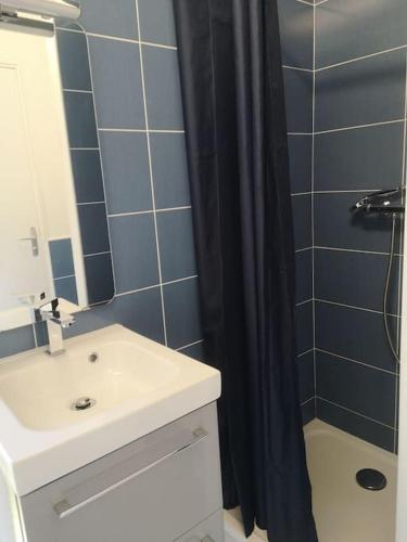 une salle de bain avec un lavabo et une douche dans l'établissement Appartement St Cast, à 100m de la Grande Plage, à Saint-Cast-le-Guildo