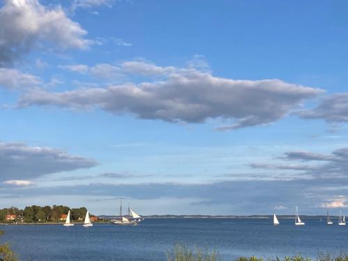 a group of sailboats on a large body of water at Troense Bed and Breakfast by the sea in Svendborg