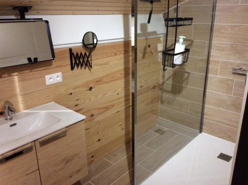 a bathroom with a shower and a sink at La Forge du Rosay in Viry