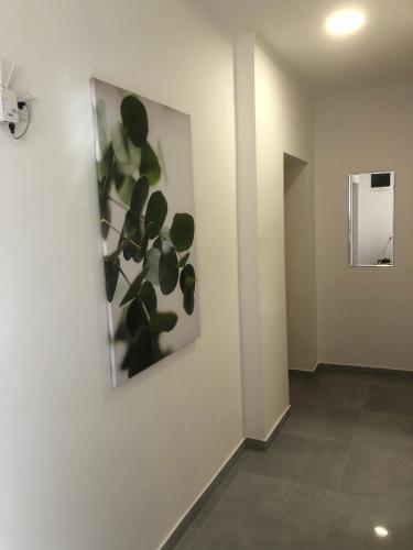 a white wall with a picture of a plant on it at Levél 1 in Szeged