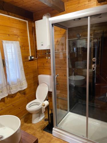 a bathroom with a shower and a toilet and a sink at Chalet Aledia in Pessinetto