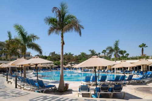 una piscina con sillas, sombrillas y una palmera en JW Marriott Hotel Cairo, en El Cairo