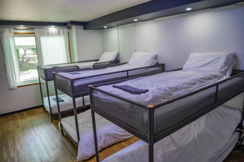 three bunk beds in a room with a window at ttottot Jeju Backpackers in Seogwipo