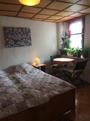 Schlafzimmer mit einem Bett, einem Tisch und Stühlen in der Unterkunft Otterbau in Belgern