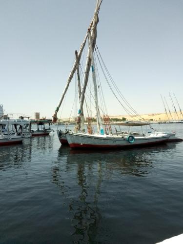 łódź jest zakotwiczona w wodzie obok innych łodzi w obiekcie Ozzy Tourism w mieście Aswan