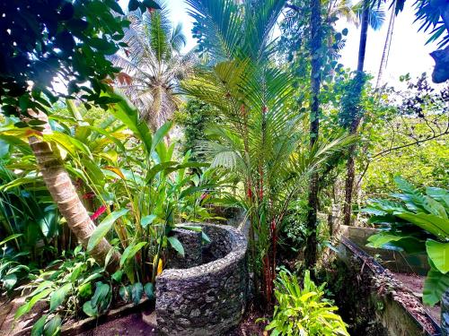 a tropical garden with palm trees and plants at Jungle Fence in Bentota