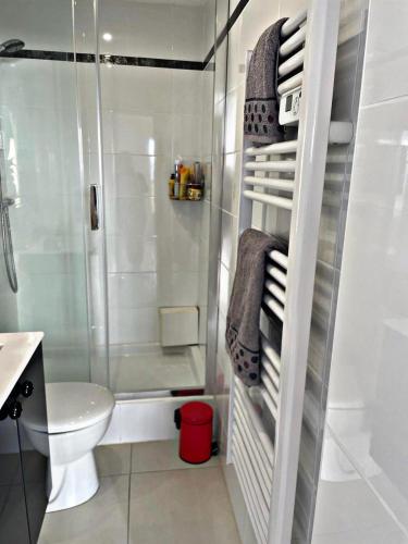 La salle de bains est pourvue d'une douche, de toilettes et de serviettes. dans l'établissement STUDIO DDAY, à Langrune-sur-Mer