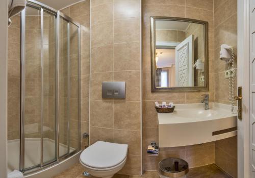 a bathroom with a shower and a toilet and a sink at The Empress Theodora Hotel in Istanbul