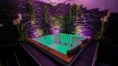 eine Whirlpool-Badewanne in einem Zimmer mit Pflanzen in der Unterkunft Appart' spa privatif Gray in Gray