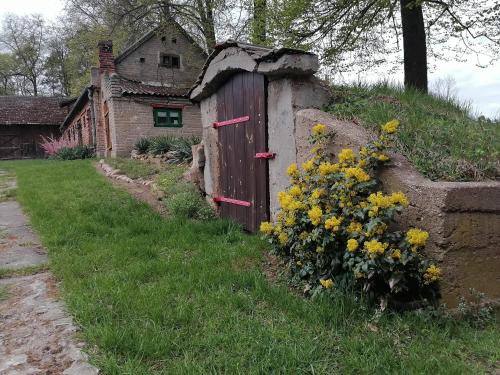 Zahrada ubytování Domek na wsi Wiejsko Czarodziejsko - Agroturystyka Podlasie