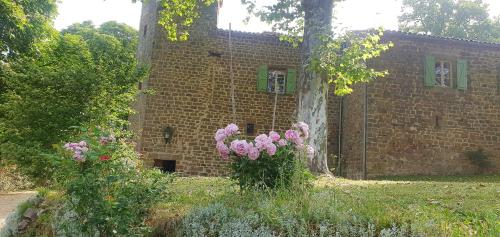 Κήπος έξω από το Château Labistoul