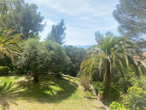un jardin avec deux palmiers et de la pelouse dans l'établissement Villa Val d'Or, à Saint-Raphaël