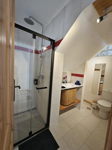 a bathroom with a shower with a toilet and a sink at Esplanada do Ilhéu in Vila Franca do Campo