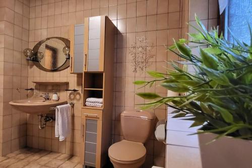 a bathroom with a toilet and a sink at Ferienwohnung Unterm Wald - Pool + Garten + Panorama in Idar-Oberstein