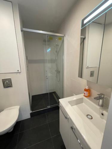 ein Bad mit einer Dusche, einem Waschbecken und einem WC in der Unterkunft Paris Maurice Nordmann superbe 2 pièces in Paris