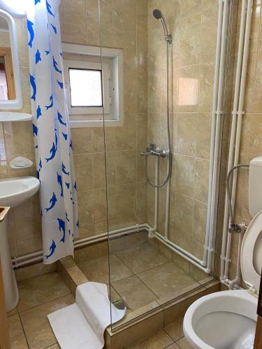 a bathroom with a shower and a toilet and a sink at Casa de Vacanţă Vârtop in Vartop