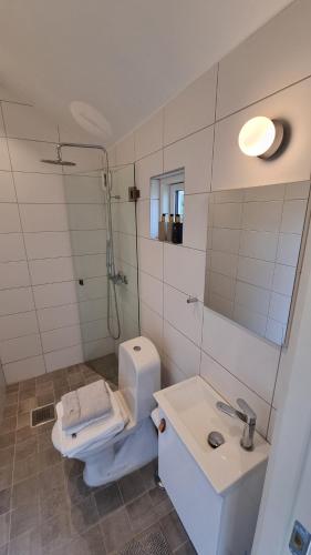 W łazience znajduje się toaleta, umywalka i prysznic. w obiekcie Beach-near cozy cottage w mieście Höllviken