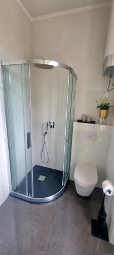 a bathroom with a shower and a toilet at Apartment Eufemia in Kanfanar