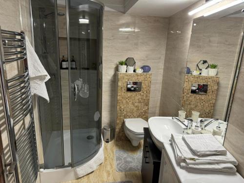 a bathroom with a shower and a toilet and a sink at Pretty Luxury Apartament's in Cluj-Napoca