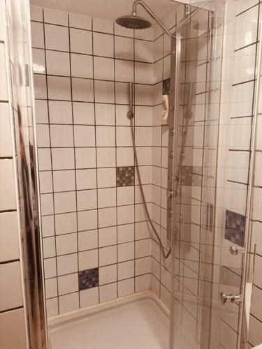 une salle de bain avec une douche avec une porte vitrée dans l'établissement Cocon Flânerie & Bambou, à Joigny