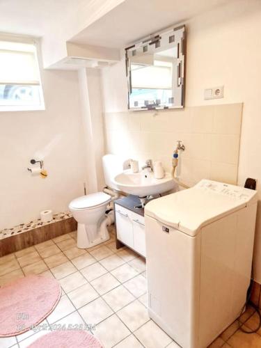 un baño con inodoro y lavabo en 1 Zimmer Apartment an der Apfelallee, en Jork