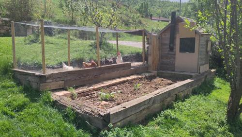 a chicken garden with a chicken coop at Apartament a Mas l'Erm in Girona