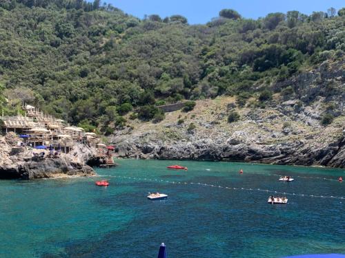 Φυσικό τοπίο κοντά σε αυτό το διαμέρισμα