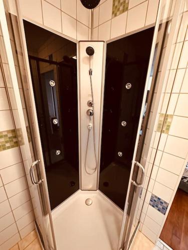 a shower with a mirror in a bathroom at Cocon Bois-Joly in Joigny