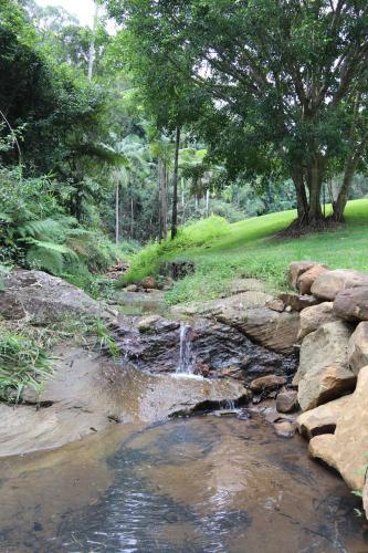 Gallery image of Rainforest Cabin in Doon Doon NSW in Commissioners Creek