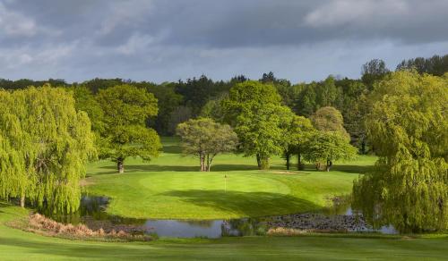vistas a un campo de golf con árboles y un estanque en Rusty Duck Retreat Shepherds Hut en Shedfield