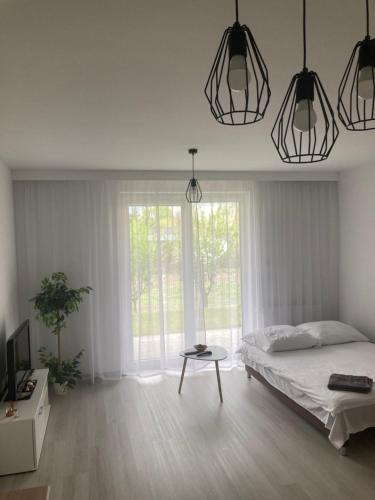 um quarto branco com uma cama e uma janela em Apartament No 3 em Lublin