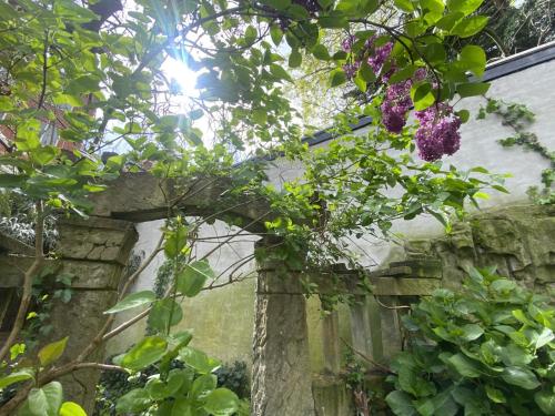 an archway in a garden with purple flowers at The Museum - Au Lit, Jérôme! in Antwerp