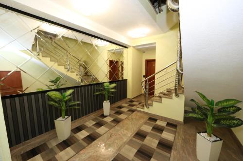 a hallway with three potted plants and a staircase at Villa Maki in Ohrid