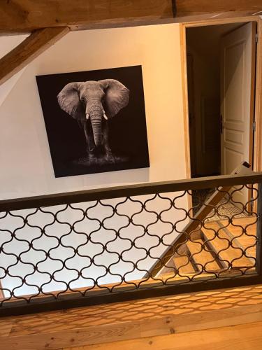 a picture of an elephant on a wall at Welkom huis in Eecke