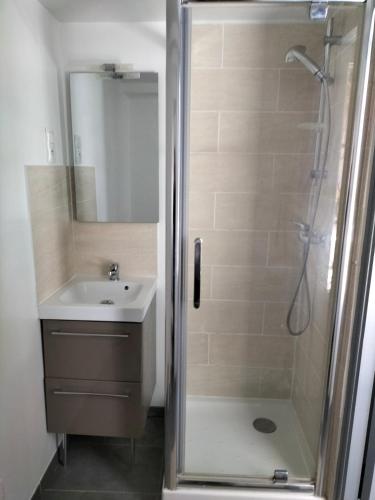 a bathroom with a shower and a sink and a shower at Studio climatisé intra muros balcon in Avignon