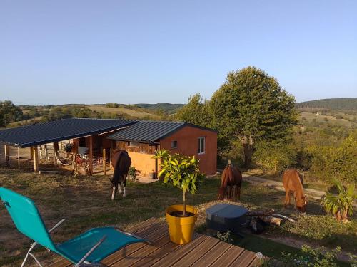 um grupo de cavalos a pastar em frente a uma casa em Un chalet suspendu au paradis sur un domaine de 20 hectares em Cressanges